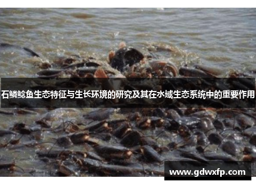 石鳞鲶鱼生态特征与生长环境的研究及其在水域生态系统中的重要作用